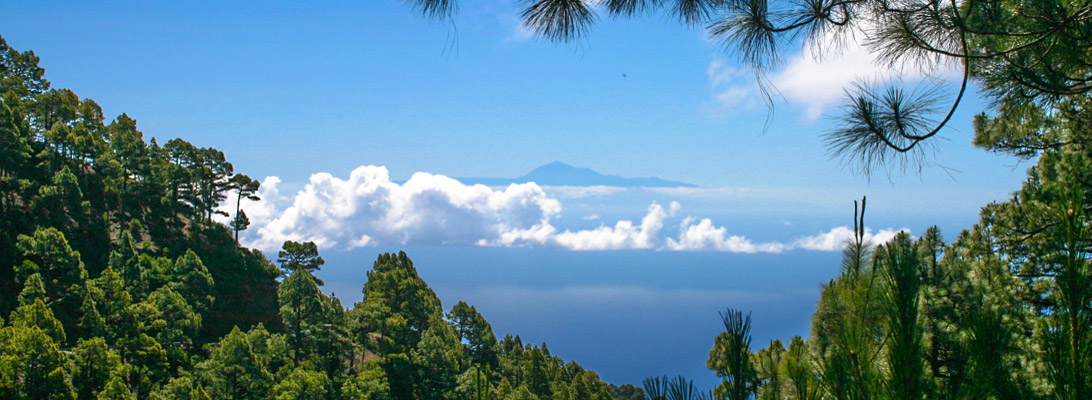 Blick von der Ostseite La Palmas auf Teneriffa