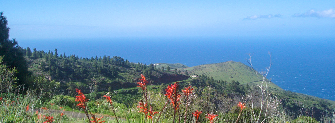 Landscape in the North of La Palma