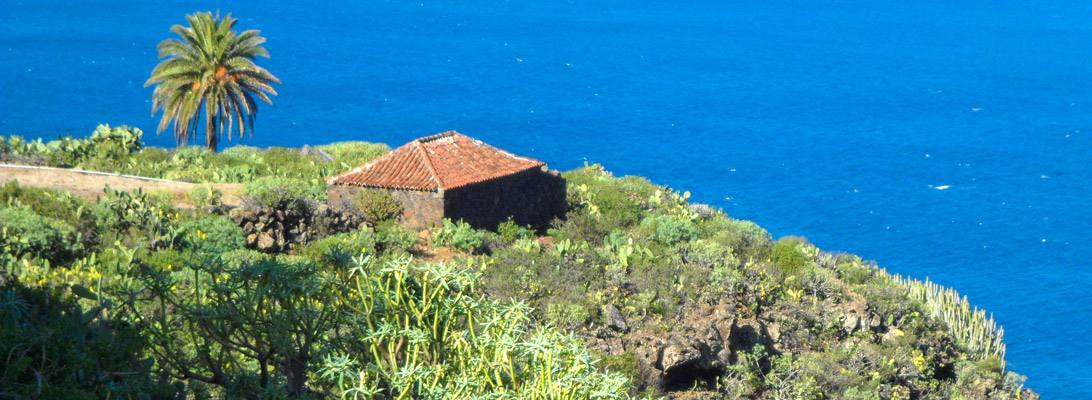 Ein altes kanarische Haus mit Palme am Meer