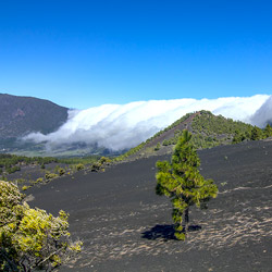 Cloudfall Cascadas over Cumbre vieja